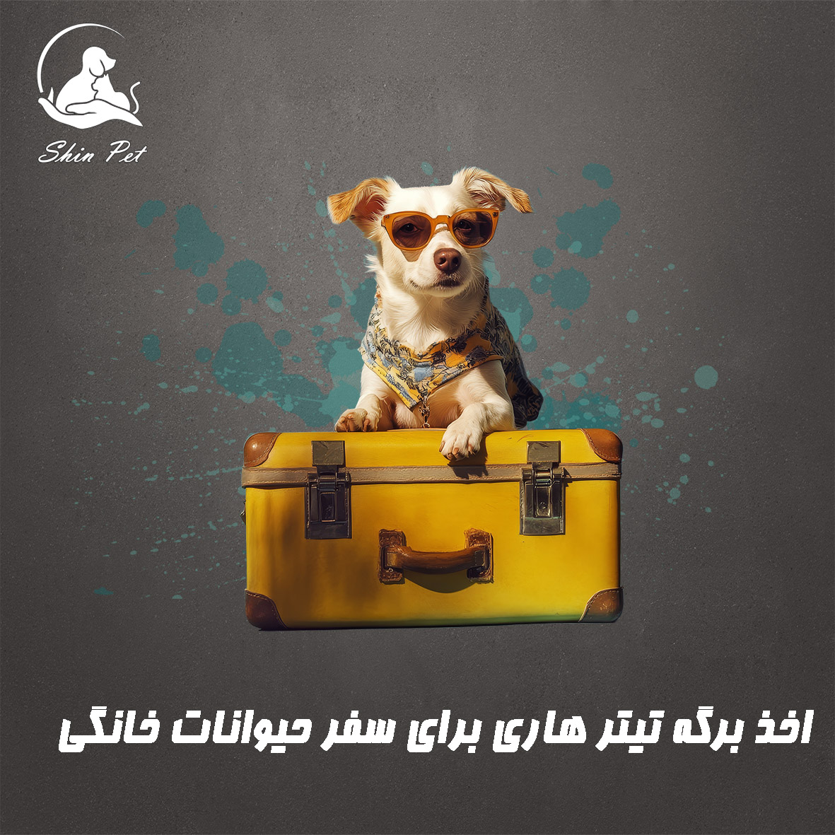 اخذ برگه تیتر هاری برای سفر حیوانات خانگی